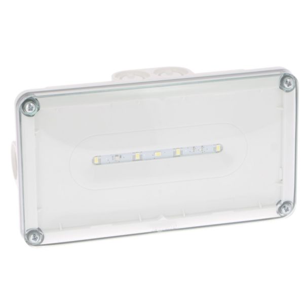 BAES d'ambiance saillie à LEDs 400lm IP66 IK10 plastique SATI Connecté pour ERP et ERT