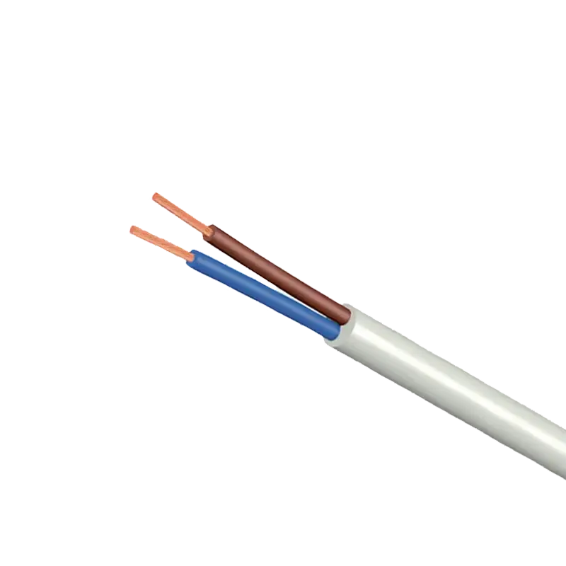 H05VV-F Cable Appareillage 2X1mm2