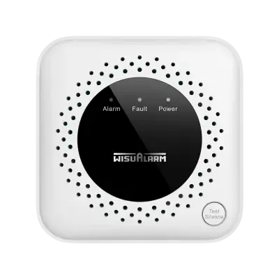 HY-GB40A Alarme de detection de gaz GPL/propane