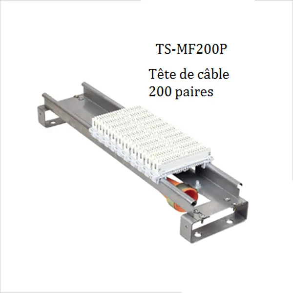 TS-MF200P – Support de modules — TELESYSTEM image 1
