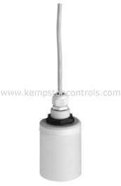 Endress+Hauser Sonde à ultrason FDU91-RG1AA